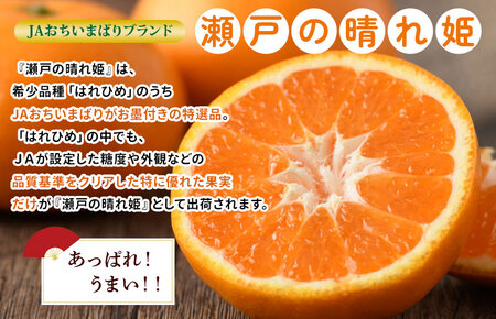 【先行予約】瀬戸の晴れ姫4kg [KC01230] 2026年12月中旬～2027年1月中旬に順次発送予定 愛媛県産 愛媛県 期間限定 はれひめ 果物ふるさと 愛媛みかん 甘いみかん 果物 故郷納税フルーツ ふるさと納税ふるーつ ふるさと納税ミカン ふるさと納税愛媛みかん みかん箱買い JA [毎年売切れ]