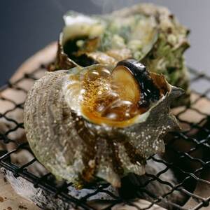 秀品サザエ1kg 刺身・生食可(CAS冷凍で新鮮)約7?13コ