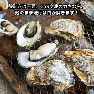 特上・篠島の殻付き真牡蠣1kgセット(生食用かき・CAS冷凍カキ)海鮮バーベキューBBQ、浜焼きに