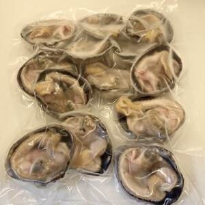 大アサリ 約 1kg (11?13切) 下処理済 だし醤油 セット 冷凍 砂出し 簡単 調理 新鮮 オオムラサキ 大あさり 砂抜き