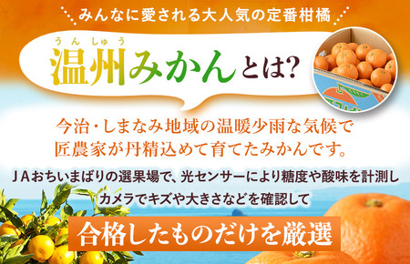 【先行予約】温州みかん 10kg【KC00760】 2026年11月下旬～12月下旬に順次発送予定 期間限定 ふるさと納税ミカン 温州ミカン 甘いみかん 愛媛みかん 果物 フルーツ ふるさと納税フルーツ 愛媛ふるさと納税 愛媛県ふるさと納税 JA