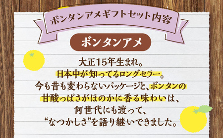 セイカ食品 南国特産 ボンタンアメ ギフト セット K194-001 菓子