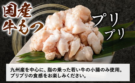 「おおやま」博多もつ鍋 みそ味・しょうゆ味 計8人前《30日以内に出荷予定(土日祝除く)》》福岡県   株式会社吉浦コーポレーション もつ鍋 牛もつ