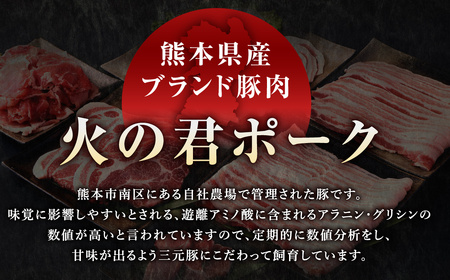 熊本県産 火の君ポークR 詰合せ 計約2kg 豚肉 肉 ブランド豚 豚こま ロース 肩ロース バラ 生姜焼き 焼肉 冷