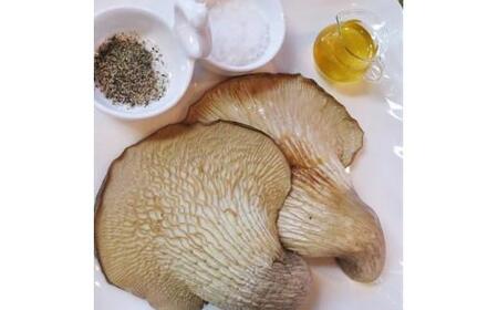 特選 竜王 足太あわび茸 生 700g  