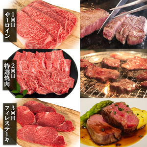 【定期便】近江牛 定期便 6回【E037】牛肉