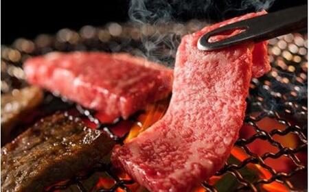 【近江牛 焼肉セット(肩ロース・カルビ) 1kg】肉 牛肉 ブランド牛 三大和牛 和牛 黒毛和牛 国産 バーベキュー 贈り物 ギフト プレゼント 冷凍 滋賀県 竜王