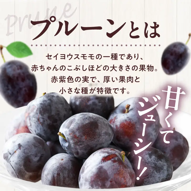 【先行予約：2026年8月中旬より発送】余市の砂川果樹園が贈る【余市の生プルーン】1.6kg_Y033-0040