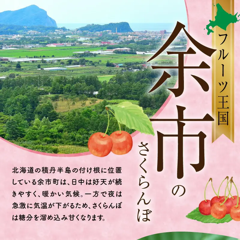 《2026年産先行受付》北海道産さくらんぼ【佐藤錦】L～2Lバラ詰め 180g×4 サクランボ 果物 フルーツ 季節限定_Y074-0136