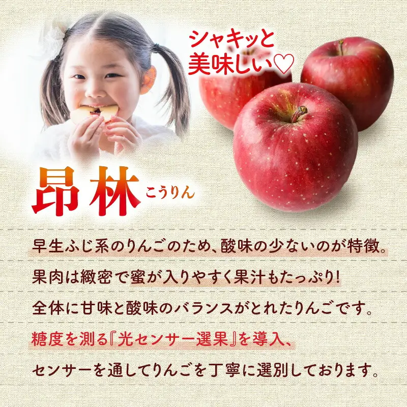 【先行受付：2026年10月中旬以降発送分】りんご（昂林）5kg_Y010-0661