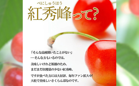 《先行予約 2026年6月中旬発送》 山形県産 さくらんぼ 紅秀峰 秀品 2L玉 700gパック 化粧箱入り FSY-2200