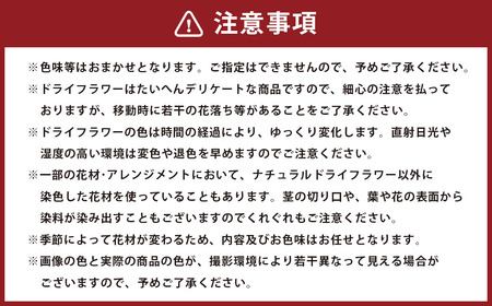 ドライフラワー リース  Lサイズ 1個 縦23㎝以上×横23㎝以上 花 植物 