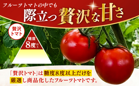 【先行予約】 高知県高知市産 贅沢フルーツトマト 約2kg 〈2027年2月初旬～5月中旬まで発送〉 / トマト とまと フルーツトマト 2kg 2キロ 野菜 果物 サラダ お弁当 デザート 【片山農園】 [ATCI001]