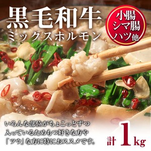 黒毛和牛 ミックス ホルモン 計1kg 国産 牛肉 【LRプラスK】No.1001-01