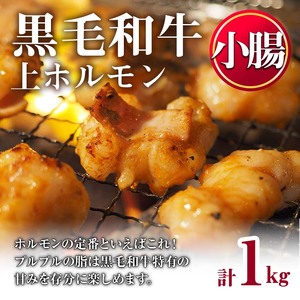 ホルモン 黒毛和牛 上ホルモン (計1kg) 【カミチク】 No.1001-02