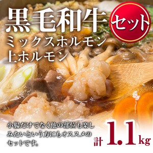 国産 黒毛和牛 ミックスホルモン 上ホルモン 合計1.1kg 牛肉 【カミチク】No.1001-04