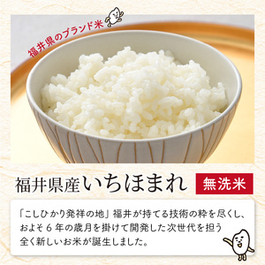 【令和7年産】 定期便 ≪2ヶ月連続お届け≫ 福井県のブランド米 いちほまれ 無洗米 10kg × 2回 計20kg 【 無洗米 人気 品種 ブランド米 特A 】 [G-6104]