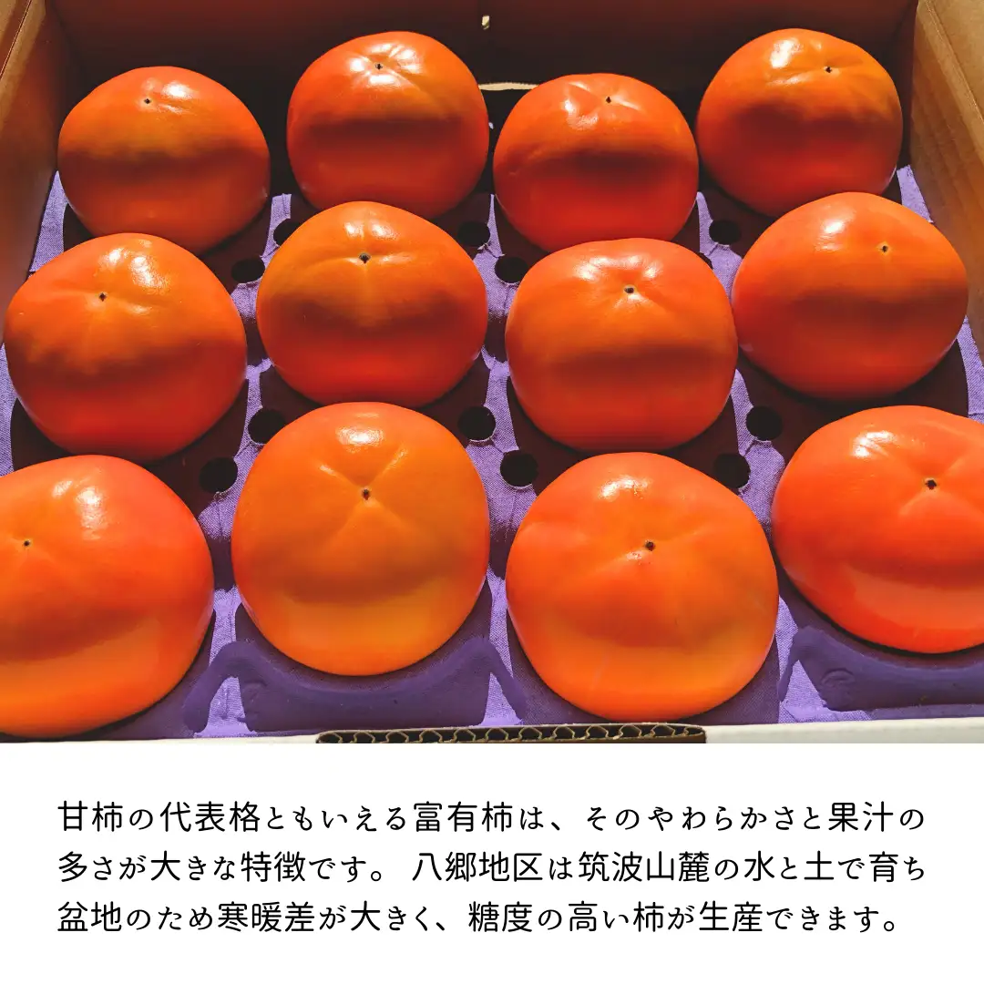 富有柿 2L 14玉 (茨城県共通返礼品 石岡市) 果物 くだもの フルーツ 柿 かき 2026年11月中旬以降発送 [DC003sa]