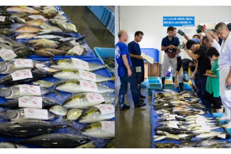 【漁港直送】朝獲れ鮮魚 詰め合わせ 2kg