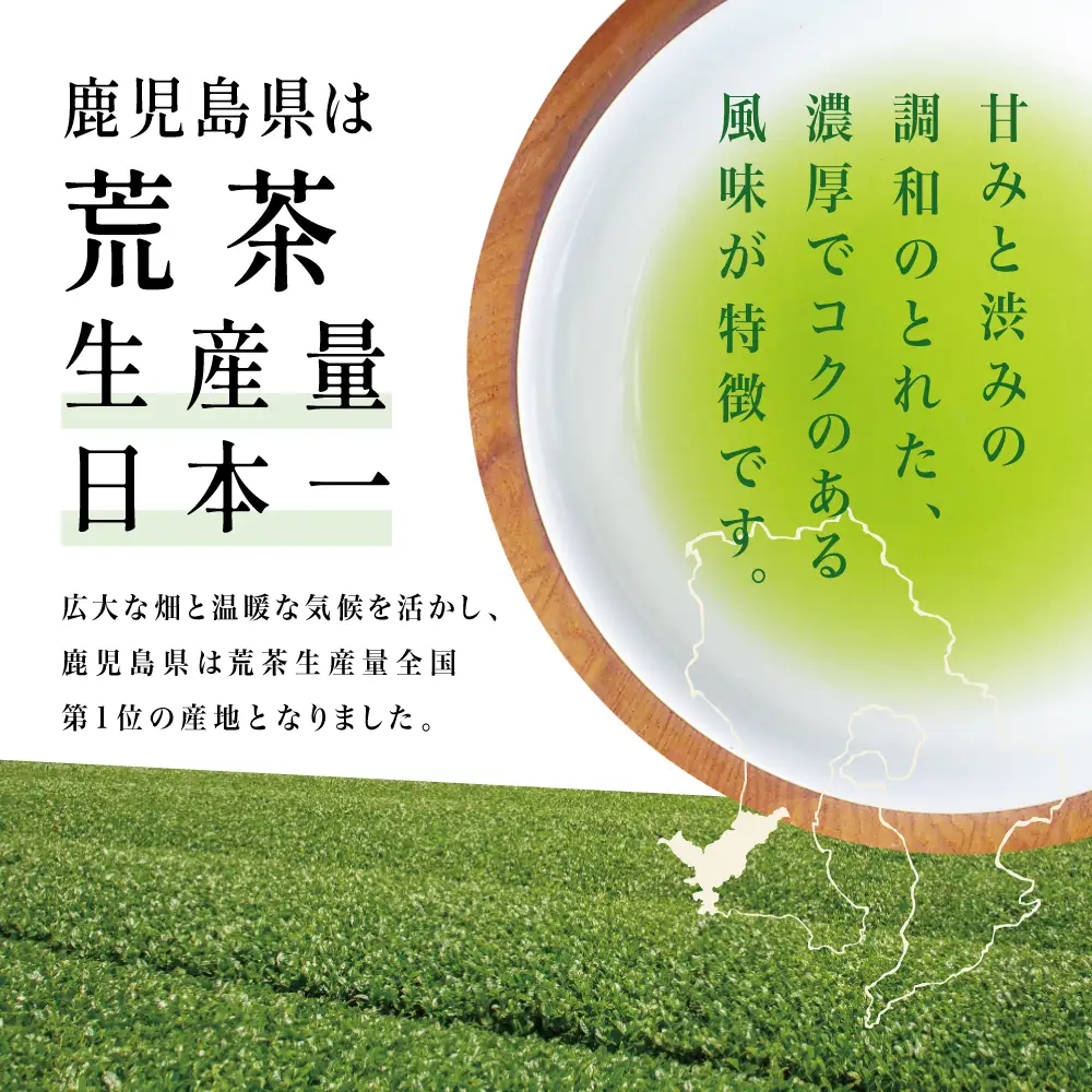 【鹿児島県産緑茶】かせだみどり（80g×3袋） お茶 茶葉 日本茶 緑茶 飲料 飲み物 ギフト 贈答用