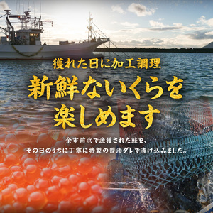 北海道産 いくら 醤油漬け 250g イクラ_Y006-0009