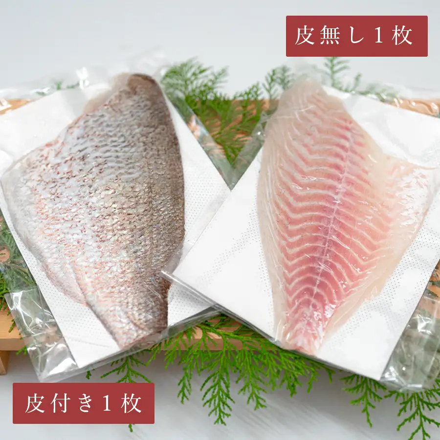 【先行受付】 朝獲れ 真鯛 フィーレ 皮付き 皮なし 500g以上 刺身 冷蔵 養殖 たい タイ マダイ セット 真空パック 産地直送 当日発送 鮮度抜群 鯛めし 鯛丼 カルパッチョ お取り寄せ ギフト 贈答 はやぶさ水産 四国 高知県 大月町 柏島産