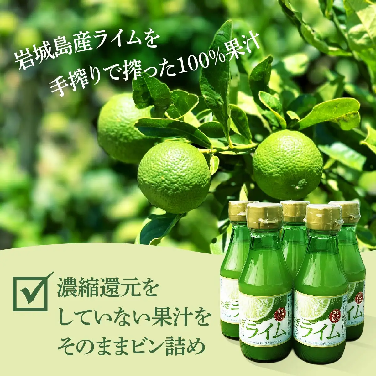 瀬戸内岩城島　ライム果汁　150ml×5本【1123664】
