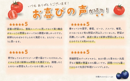 直売所からお届け！旬の野菜セット（8～10品詰め合わせ）JA 新鮮な野菜直送便 糸魚川 新潟 【大根･白菜･春菊･アスパラ菜･しいたけ･ほうれん草･ふきのとう･タラの芽･山菜･にんじん･イチゴ･トマト･きゅうり･ピーマン･ジャガイモ･玉ねぎ･オクラ･枝豆･トウモロコシ･なす･生きくらげ･長ネギ･サツマイモ･里芋】