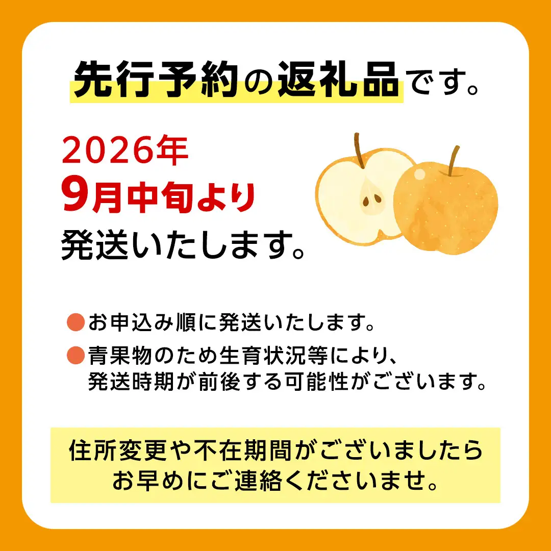 恵水梨 約3kg 4玉～6玉 (茨城県共通返礼品:城里町) 2026年 梨 なし 和梨 フルーツ 甘い オリジナル 大玉 直送 茨城 限定 [CO004sa]
