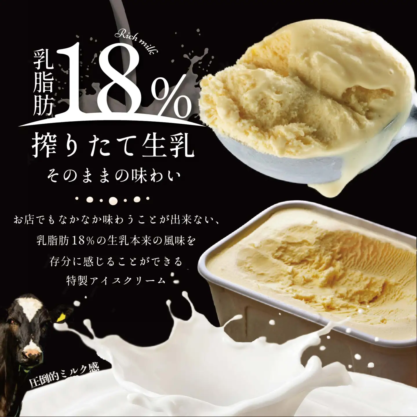 べつかい乳業興社  プレミアムミルクリッチ12個 高島屋選定品 （ あいす アイス アイスクリーム みるく ミルク プレミアムミルク 北海道 別海町 人気 ふるさと納税 ）