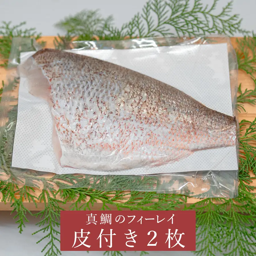 【先行受付】 朝獲れ 真鯛 フィーレ 皮付き 500g以上 刺身 冷蔵 養殖 たい タイ マダイ セット 真空パック 産地直送 当日発送 鮮度抜群 鯛めし 鯛丼 カルパッチョ 塩焼き お取り寄せ ギフト 贈答 はやぶさ水産 高知県 大月町 柏島産