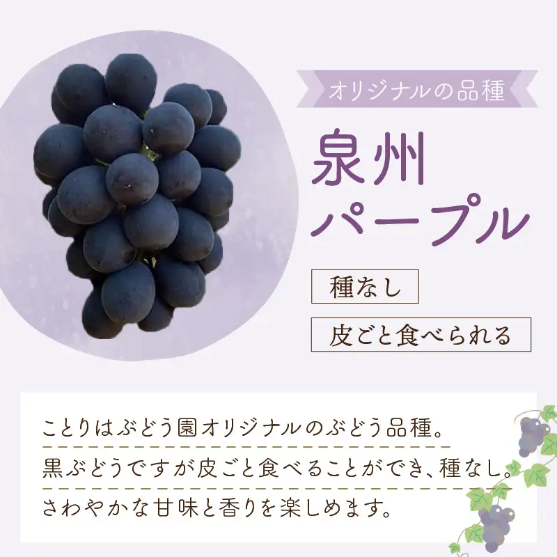 泉州ぶどう　泉州パープルとシャインマスカットのセット【065D-016】
