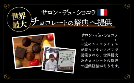 【6回定期便】《ギフト》 トリュフチョコレート 15粒[EBV023]  チョコレート ちょこれーと ボンボンショコラ 高級 バレンタイン スイーツ すいーつ ショコラ トリュフチョコ チョコ ちょこ ギフト セット 定期便 定期 定期便