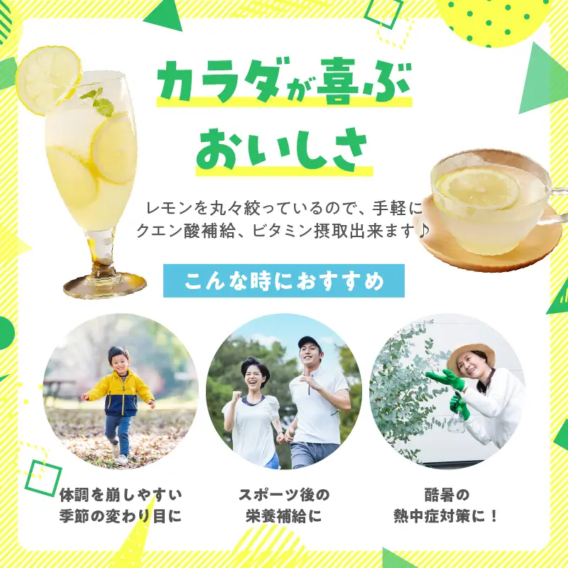 【お中元・夏の贈り物】日南レモン シロップ レモン 果汁 オリジナル 2本 セット 合計600ml 果物 フルーツ_C151-252
