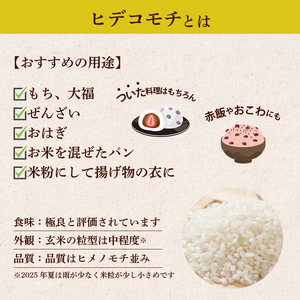【令和7年産米】ふくい農園 おいしいお米（もち米10kg）もち米
