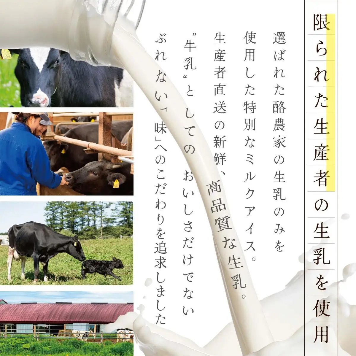 J FARM AMUSE 株式会社  THE ICE エクストラミルク12個 高島屋選定品 【TK0000065】（ あいす アイス アイスクリーム みるく ミルク 北海道 別海町 人気 ふるさと納税 ）
