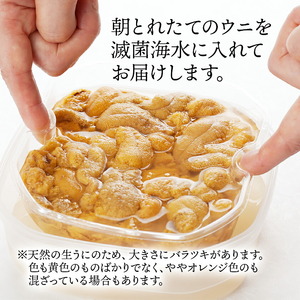生うに 150g 冷蔵 うに
