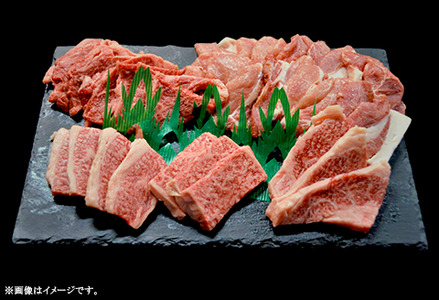 焼肉セット600g（2～3人用）A5等級 黒毛和牛ロース 約300gと美星豚ロース 約300g 岡山県産