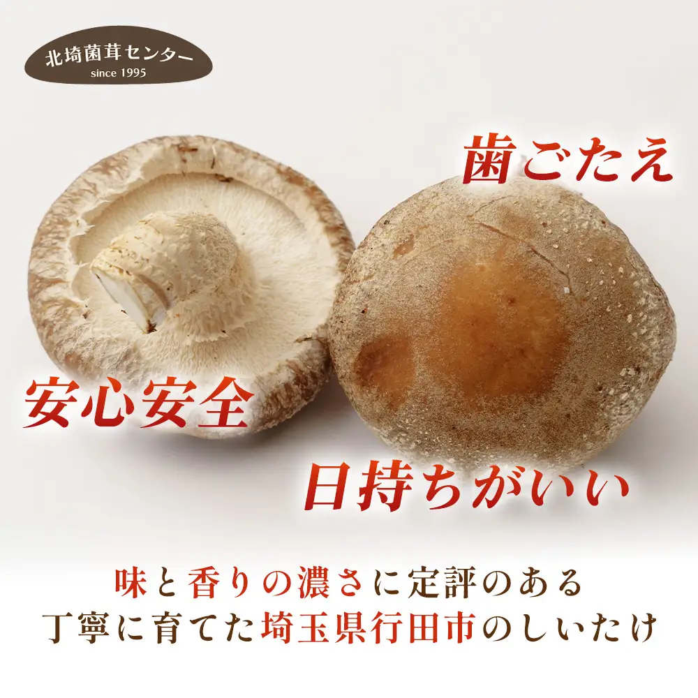 行田産こだわり椎茸セット（生椎茸・干し椎茸） No.005