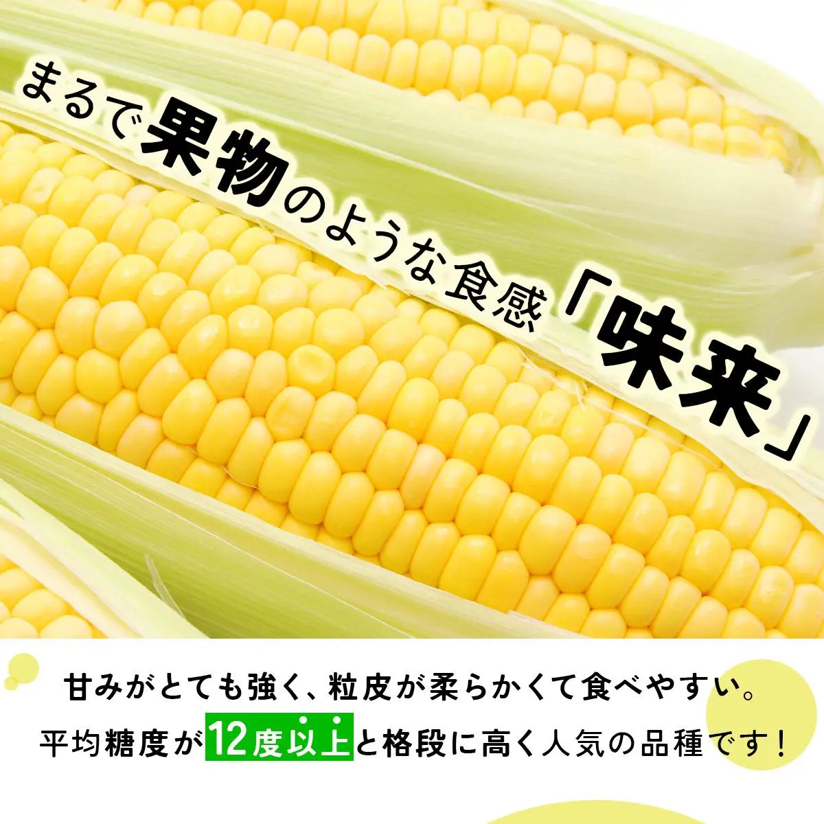 ＜先行予約＞【2026年発送】北海道産 とうもろこし 味来 L～LLサイズ 20本入り【55250823】トウモロコシ みらい ミライ とうきび スイート イエロー コーン 旬 新鮮 朝もぎ 農作物 甘い お取り寄せ 産地直送 送料無料