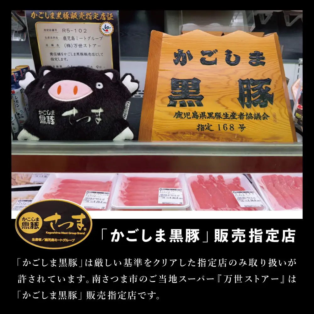 【ブランド黒豚】かごしま黒豚 3種類 計1kg バラエティセット お肉 国産 豚肉 鹿児島県産 冷凍 南さつま市