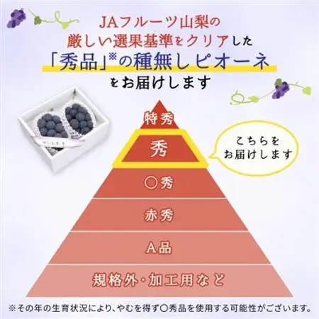 種なしピオーネ(2房)/80【配送不可地域：離島】【1300105】