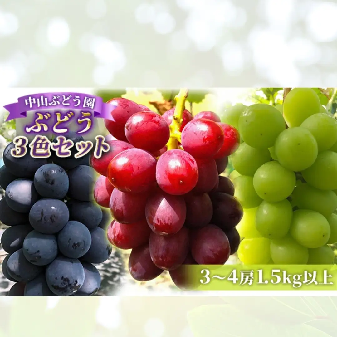【2026年先行予約】ぶどう おまかせ3種 食べ比べセット 1.5kg 以上 (3?4房) 中山ぶどう園 |  ぶどう 食べ比べセット