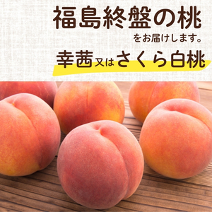 No.2689福島シーズン最後の桃『晩成桃』約3kg【2026年発送 先行予約】