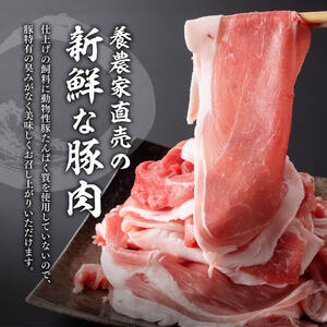 宮崎県産豚肉小野さんちの豚肉切り落とし2.5kg 豚肉
