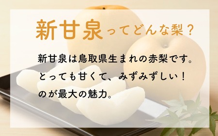 Y024 新甘泉(赤秀) 5kg