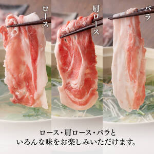 宮崎県産豚肉小野さんちの"豚肉５種セット” 2.5kg 豚肉