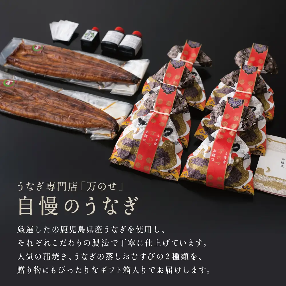 鹿児島県産 鰻 蒲焼2尾・おむすび6個 セット 詰合せ 詰め合わせ ギフト 贈答品 贈り物 手土産 御祝 お祝い 国産 鹿児島うなぎ 鰻 蒲焼き ウナギ うなぎ蒸しお結び おにぎり スタミナ 土用の丑の日 山椒 うなぎ専門店「万のせ」鹿児島県 南さつま市