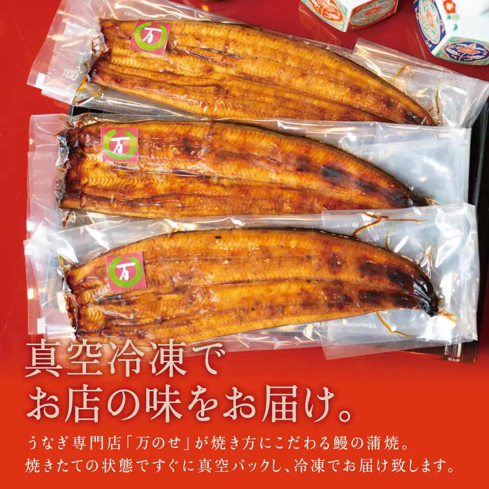 鹿児島県産 うなぎ蒲焼 3尾 セット うなぎ専門店「万のせ」ジューシー スタミナ ウナギ 鰻 蒲焼き 国産 ギフト うな重 たれ ひつまぶし 山椒 冷凍 簡単調理 贈り物 お取り寄せグルメ 冷凍 鹿児島県 南さつま市