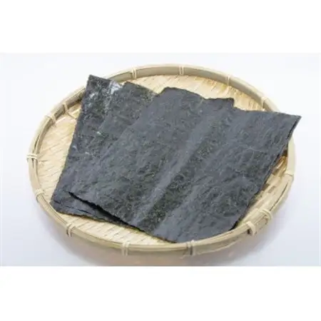 【寒流のり】焼き海苔　初採り　全形10枚×5帖_魚介・海産物 海苔 海藻 のり ノリ_【1259238】